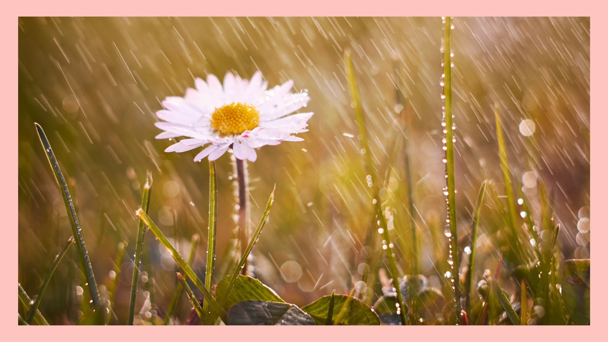 Dealing with Spring Weather Challenges When Selling Your Home